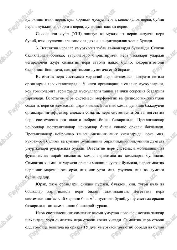 simpatik kismi umurtka pogonasi ostida zanjir shaklidagi uzun simpatik nerv stvoli xosil kiladi. simpatik nerv stvoli old tomonda boshgacha va orkada 1u dum umurtkasigacha etib boradi va buyin kukrak, bel, dumgaza xamda dum kismlarga bulinadi. buyin kismida oldingi, urta va keyingi tugunlarni xosil kiladi. buyinning oldingi tugunidan bir kancha tarmok chikib, maxsus nervlar xosil kiladi: ichki uyku nervi, buyinturuk nervi, taushki uyku nervi, biriktiruvchi kulrang tarmoklar. buyinning urta birinchi kovurganing yuzasida joylashadi. buyinning orka tuguni kukrak tugunlariga kushiladi va yulduzsimon tugunni xosil kiladi. yulduzsimon tugunning postganglionar tolasi uzidan bir kancha nerv ajratadi. kukrak va belning simpatik nerv stvolidan keyin turadigan prevertral gangliylariga korin bushligi nerv chigalining yarim oysimon tuguni, buyrak chigali tuguni, ichak pardasining orka tuguni va korin osti nerv chigali tugunlari kiradi. yarim oysimon tugun takaga uxshash bulib, ichak pardasining oldingi arteriyasini urab turadi. ichak pardasining orka tuguni anchagina kichik bulib, ichak pardasining keyingi arteriyasi atrofida joylashadi. bu tugundan …