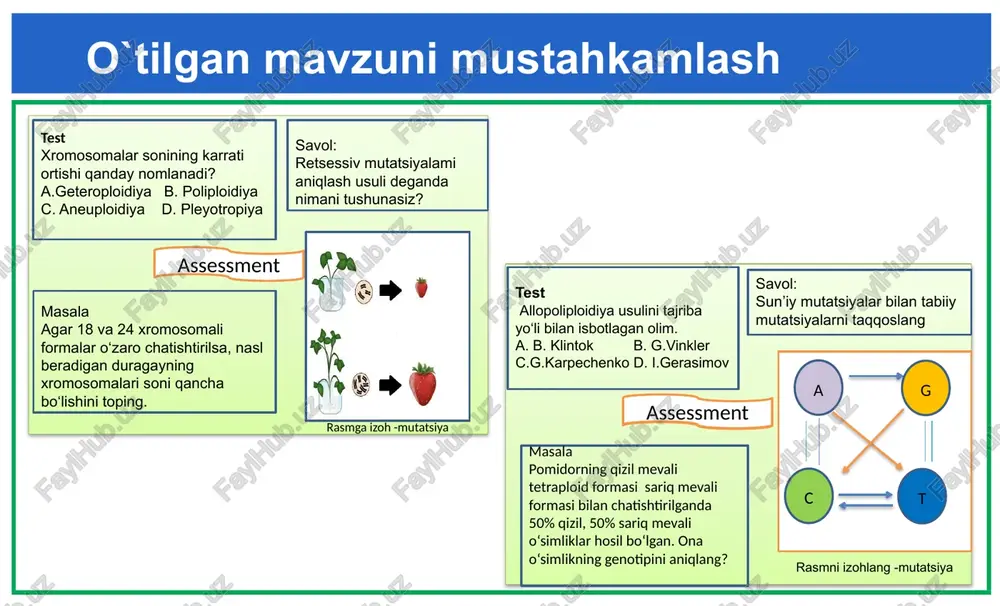 0 teikshirilayotgan belgini tashuvchi geterozigota majruh bola tekshiirilayotgan belgiga ega proband 10 geneologik uslub qo'llanishining uchinchi bosqichi. shajarani genetik jihatdan tahlil qilganda quyidagilar diqqat markazida bo'ladi 1. shajara bo'yicha o'rganilayotgan belgi hamma avlodlar va oilaning ko'p a’zolarida uchraydimi? 2.o'rganilayotgan belgi ikki jinsda ham namoyon bo'ladimi, qaysi jinsda u ko'proq uchraydi? 3.avlodlarga belgi ko'proq otadan o'tadimi yoki onadanmi? 4. shajarada ota -onada bo'lmagan belgining bolalarda uchrashi yoki kasal ota-onadan sog' bolalarning tug'ilishi hollari belgilanadi. 5. shajaradagi ota-onada bo'lmagan belgining bolalarda uchrashi yoki bolalarda bo'lmagan beligning ota -onada uchragan holatlari bormi? 6. ota-onaning birortasidagi belgining bolalarni nechtasida uchrashi ham ko'rsatiladi. egizaklar metodi autosoma dominant autosoma resessiv x xromosomga birikkan holda dominant gen irsiylanishi x xromosomga birikkan holda resessiv gen irsiylanishi soch jingalak albinizm qandsiz diabet gemofiliya ko‘z qoraligi chapaqaylik tish emali qo‘ng‘r daltonizm miopiya ko‘k ko‘z 2- kurak tish yo‘qligi namozshomko‘rlik polidaktiliya fenilkenoturiya d vitamin bilan davolanmaydigan raxit razus musbat(+) razus manfiy(-) …