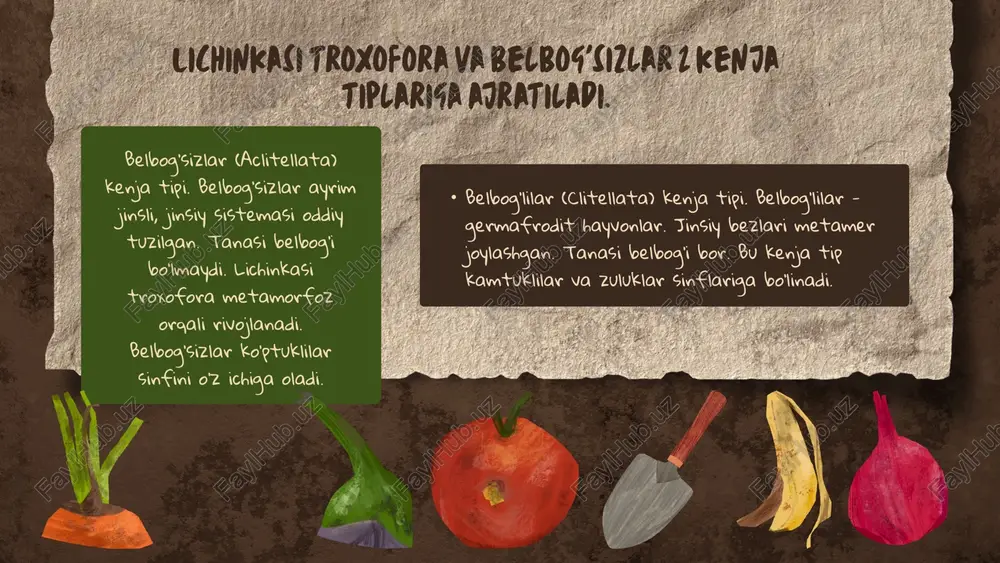in. nay ichida yashaydigan ko'ptuklilar ko'zlari jabraga aylangan palpalarda. orqasi bilan o'rnalaydigan turlarda orqa chiqaruv teshigi yaqinida joylashgan. rivojlanishi. troxofora birmuncha vaqtdan so'ng troxofora jinsiy yetilishi oldidan ko'payish sodir bo'ladi. bu jarayon jinsiy yetilgan bo'g'im parapodiyasi tana qillarining kuchli rivojlanishi, ichakning reduksiyaga uchrashi bilan boshlanadi. chuvalchang tanasi epitok qismini hosil bo'lishidan keskin ajralib turadi. ayrim ko'ptuklilar jinsiy voyaga yetgan jinsiy voyaga yetgan va keyingi epitok qismidan yetishmagan keyingi bo'g'imlar hosil bo'ladi. tuxumlar to'liq o'zgarib, suv tubida hayot kechirishga kirishishadi. yetilgan hujayralari to'xtovsiz bo'linib yangi tana bo'g'imlarini hosil qiladi. birlamchi tana bo'shlig'i selom bilan almashinadi. bo'g'imlarda parapodiyalar, ektoderma hisobidan nerv stvollari, sezgi organlari, nerv gangliyalari hosil bo'lad ekologiyasi. ko'ptuklilar – turlarga eng boy halqali chuvalchanglar sinfi. asosan dengizlarda yashovchi 5300 ga yaqin turni o'z ichiga oladi. ular orasida suzuvchi, dengiz tubida o'rmalab yoki balchiqqa ko'milb oluvchi hamda ingichka nay ichida o'troq yashovchi turlari bor. ayrim turlari parazit hayot kechiradi. ko'ptuklilarning bir …