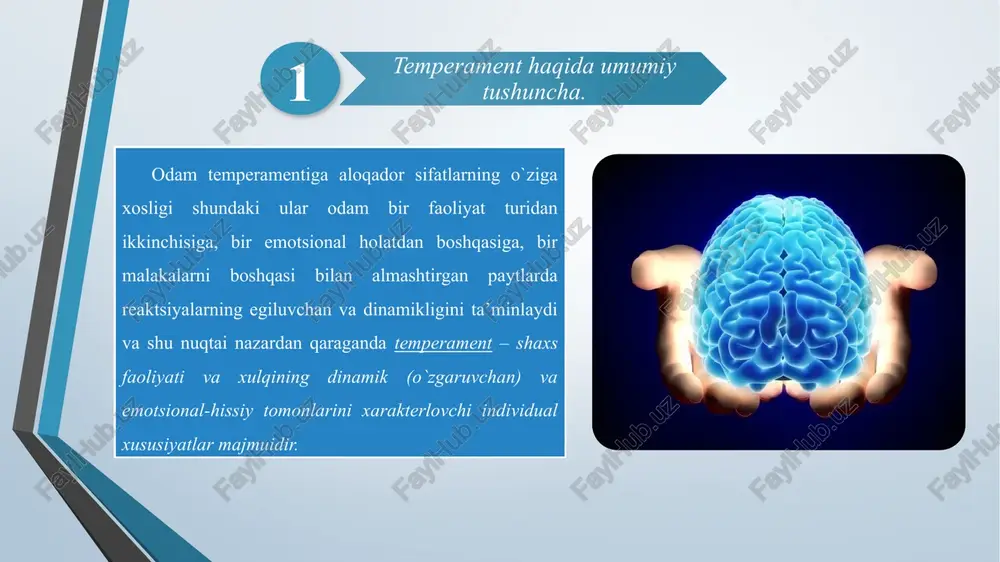 umumiy psixologiya fanidagi taqdimot - Page 5