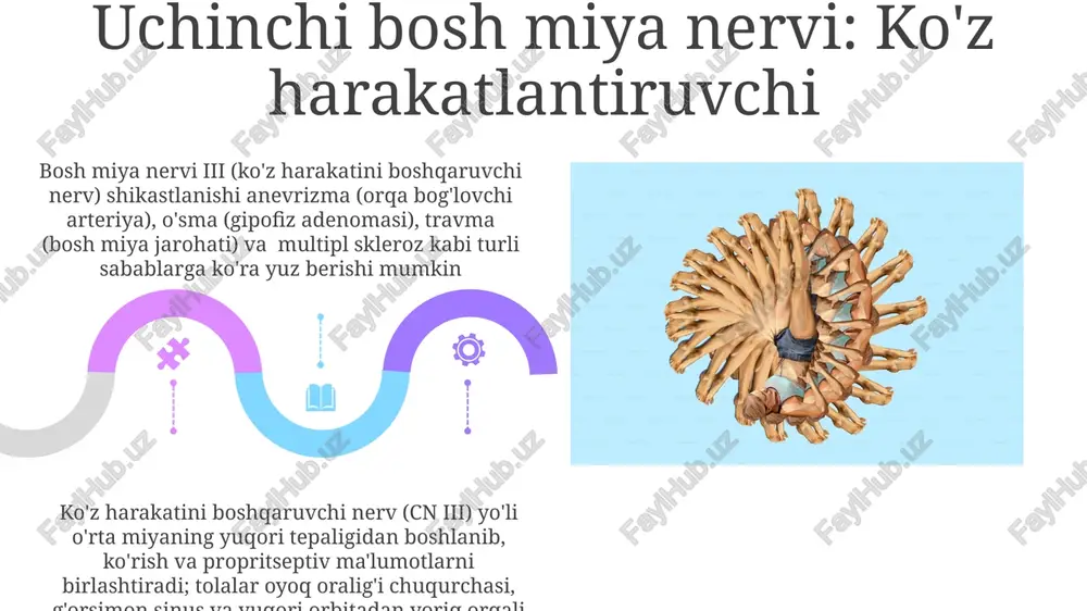 12 juftli nervlar - Page 5