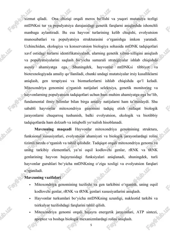 ogik jarayonlardagi roli. predmet doirasida mtdnkdagi oqsil kodlovchi genlar, rrnk va trnk genlari, mutatsiyalar va ularning energetik va genetik jarayonlarga ta’siri, tur va populyatsiyalar darajasidagi genetik xilma-xillik tahlil qilinadi. ushbu kurs ishining tarkibiy tuzilishi kirish ikki asosiy bob uch asosiy bob 6 paragraf xulosa va foydalanilgan adabiyotlardan iborat. i bob hayvonlar mitoxondriya genomining struktura va xususiyatlari 1.1 mitoxondriya dnk (mtdnk)ning umumiy tuzilishi mitoxondriya dnksi (mtdnk) — bu hayvon hujayrasidagi mitoxondriyada joylashgan genetik material bo‘lib, uning strukturasida bir qator o‘ziga xos xususiyatlar mavjud. ko‘pchilik hayvonlarda mtdnk tsirkulyar, ya’ni halqa shaklida bo‘ladi va uzunligi taxminan 16–20 ming nukleotid juftini tashkil qiladi. bu tsirkulyar shakl mitoxondriyaning o‘ziga xos genetik mustahkamligini ta’minlaydi va genlarning tartibga solingan tarzda joylashishini osonlashtiradi. mitoxondriya genomi odatda nukleoid deb ataladigan tuzilma ichida paketlangan bo‘lib, u dnk molekulasi va mitoxondriya oqsillari bilan kompleks hosil qiladi. mtdnkning tarkibi yuqori darajada konservativ bo‘lib, u energiya ishlab chiqarishda ishtirok etuvchi oqsillarni kodlovchi genlar, …
