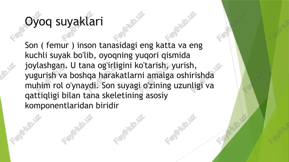chanoqvaoyoqsuyaklari - Page 5