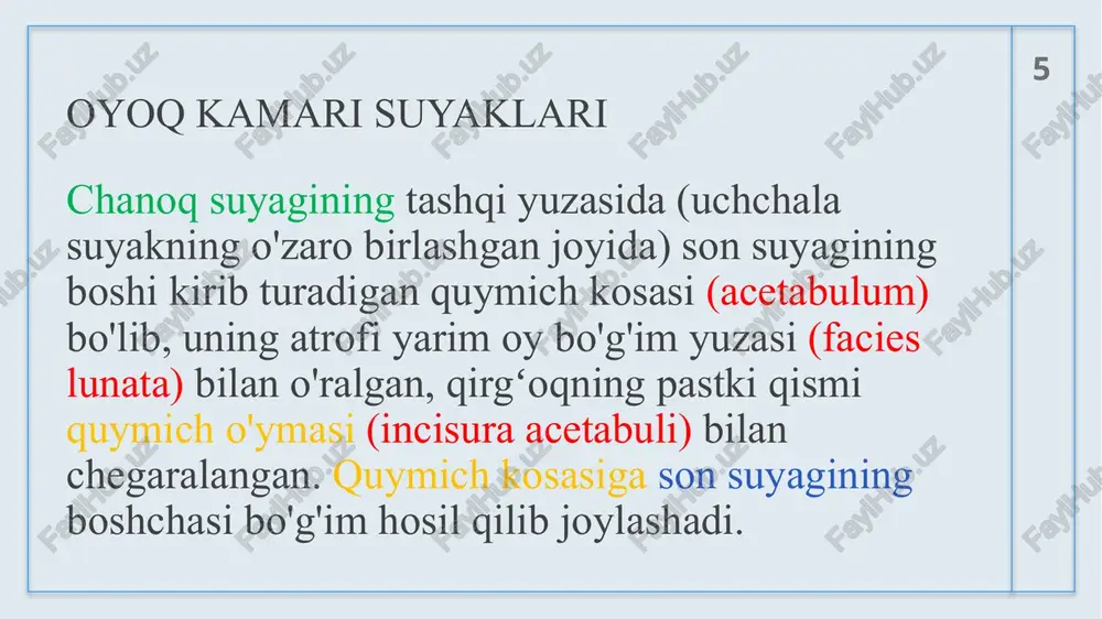 chanoqvaoyoqsuyaklariningyoshganisbatanxususiyatlari - Page 5