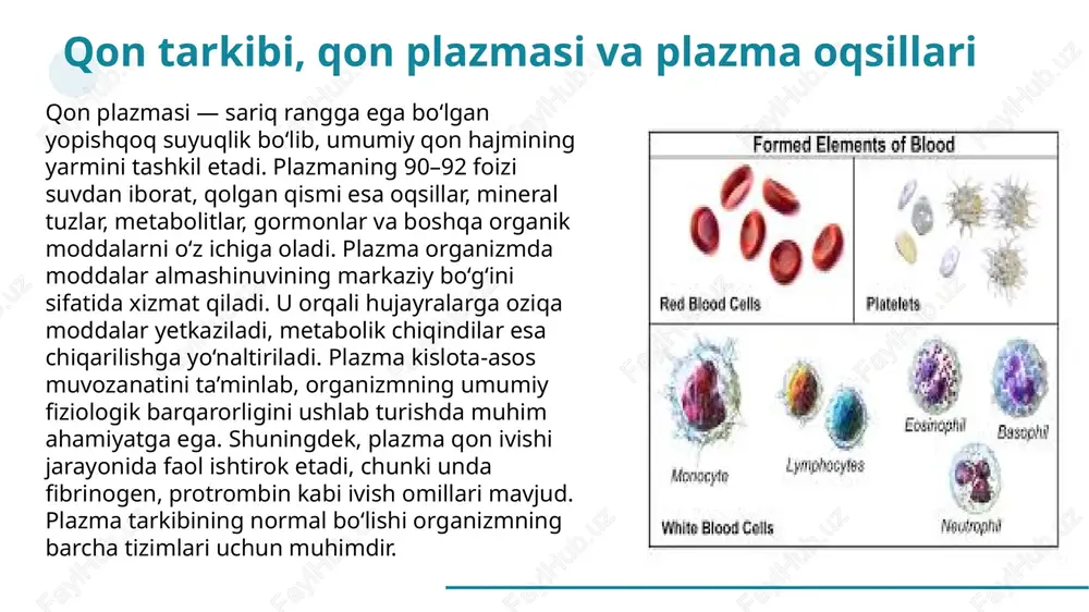 qonning funksiyalari va tarkibi - Page 5