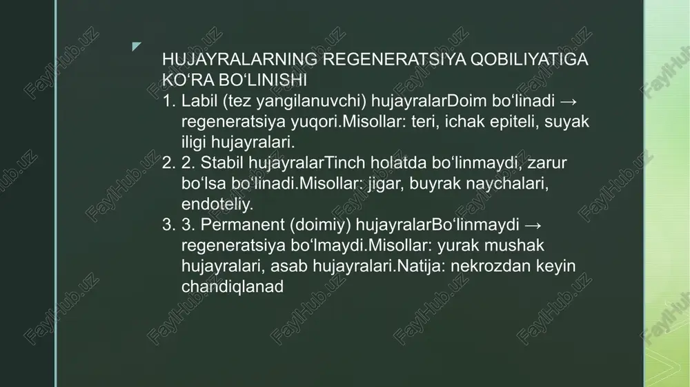 tsiyadan keyin tiklanadi. jarayon bosqichlari: 1. shikastlanish va nekroz – toʻqimada hujayralar nobud boʻladi, ekstrasellyular matritsa zarar koʻradi. 2. yalligʻlanish bosqichi – makrofaglar va neytrofilllar zararlangan hududni tozalaydi.3. proliferativ bosqich (fibroblastlar faolligi) – fibroblastlar ko‘payadi, yangi kollagen tolalari va glykozaminoglikanlar sintezlanadi. 4. remodeling (morfologik qayta shakllanish) – kollagen tolalar joylashuvi va qalinligi moslashadi, toʻqima mustahkamlanadi. xususiyatlari: tezligi sekinroq, ayniqsa kollagen tolalar qayta joylashishi vaqt talab qiladi.toʻqima faoliyati jarohat darajasiga bogʻliq. z 2. yogʻ toʻqima (adipotsitlar) regeneratsiyasi tavsifi: yogʻ toʻqima ko‘pincha travma yoki jarohatdan keyin cheklangan darajada regeneratsiyalanadi. jarayon bosqichlari: 1. shikastlanish – adipotsitlar nekrozga uchraydi. 2. makrofaglar faolligi – hujayra qoldiqlari fagotsitoz qilinadi. 3. pre-adipotsitlar proliferatsiyasi – stromal hujayralardan yangi yogʻ hujayralari hosil bo‘ladi. 4. differensiyatsiya – pre-adipotsitlar toʻliq adipotsitlarga aylanadi. xususiyatlari: regeneratsiya sekin, ba’zan yogʻ toʻqimasi o‘rnini biriktiruvchi toʻqima “o‘rnab” qoladi (fibroz). ba’zi sharoitlarda lipomatoz yoki skar hosil bo‘lishi mumkin. z 1. suyak to‘qimasi regeneratsiyasi (osteogenez) morfologik jihatdan: suyak …