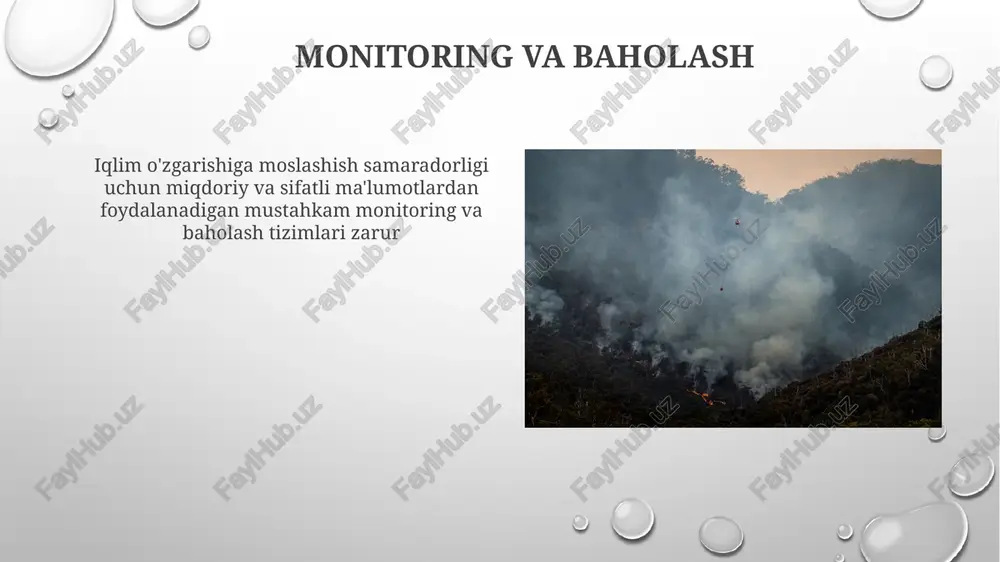 iqlim oʻzgarishi va ekologik moslashuv - Page 5