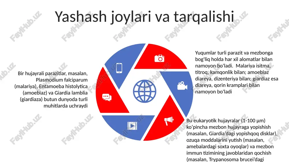 a yangi avlod sekvensiyasi (ngs) kabi molekulyar diagnostika usullari past darajadagi parazitlarni aniqlashda yuqori sezuvchanlikni ta'minlaydi. hayot sikllari va ko'payish amoeba histolytika (amoebiaz), rivojlanayotgan mamlakatlarda keng tarqalgan, ikkiga boʻlinish yoʻli bilan koʻpayadi. kistalar (tinch holat) najas-ogʻiz yoʻli orqali yuqadi, ichakda trophozoitlarga (faol, oziqlanuvchi bosqich) aylanadi; toʻqimalarga kirib, dizenteriyaga sabab boʻladi; yiliga global miqyosda 50 million holat qayd etiladi. toksplazmozni keltirib chiqaradigan toksoplazma gondii kabi apicompleksalar murakkab hayot sikliga ega bo'lib, jinsiy ko'payishi asosiy xo'jayinlarda (masalan, mushuklarda), jinsiysiz ko'payishi esa oraliq xo'jayinlarda (masalan, odamlar, kemiruvchilar) sodir bo'ladi sales 1st qtr 2nd qtr 3rd qtr 4th qtr 35 25 20 15 kasallik kelib chiqishi va mexanizmlari kasallik namoyon bo'lishi parazit turiga va mezbon omillariga bog'liq. malariya siklik isitma, anemiya (1-5% parazitemiyadan kelib chiqadi) va og'ir hollarda miya malariyasi bilan namoyon bo'ladi. afrika tripanosomiazi nevrologik alomatlarni keltirib chiqaradi, davolanmasa komaga va o'limga olib keladi muvaffaqiyatli parazit infektsiyalari parazit virulensiya faktorlari va mezbon immun …