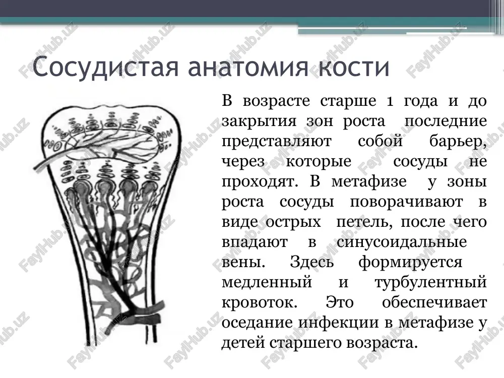 mozg. nalajivaetsya postoyannoe protochnoe promivanie rastvorom ringera na protyajenii 7-14 dney do perioda normalizatsii temperaturi, uluchsheniya obshego sostoyaniya, ischeznoveniya lokalnoy simptomatiki. image2.png image3.png image4.png image5.png image6.png image7.png image8.png image9.png image10.png image11.png image12.png