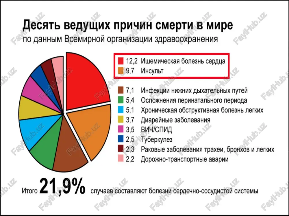 stupeneobraznoe, kak u aktivno deystvuyushego patsienta, tak i vo sne, lokalizatsiya ochaga - zona smejnogo krovosnabjeniya, v tom chisle korkovie infarkti, ochagi v periventrikulyarnom i belom veshestve nalichie patologii ekstra- i/ili intrakranialnix arteriy: ateroskleroticheskoe porajenie, anomalii sosudistoy sistemi mozga (razobshenie villizieva kruga, gipoplazii arteriy) gemodinamicheskiy faktor: snijenie ad (ortostaz, yatrogennaya gipotenziya), padenie minutnogo ob'ema serdtsa (umenshenie udarnogo ob'ema serdtsa vsledstvie ishemii miokarda, znachitelnoe urejenie chss), gipovolemiya lakunarniy insult predshestvuet arterialnaya gipertoniya, nachalo - chashe intermittiruyushee, simptomatika narastaet v techenie chasov, do sutok, inogda i dolshe, ad obichno povisheno lokalizatsiya infarkta - podkorkovie yadra, prilejashee beloe veshestvo, vnutrennyaya kapsula, osnovanie mosta, razmer ochaga - maliy, do 1 -1,5 sm v diametre, mojet ne vizualizirovatsya pri kt, nalichie xarakternix nevrologicheskix sindromov (chisto dvigatelniy, chisto chuvstvitelniy lakunarniy sindrom, atakticheskiy gemiparez, dizartriya i monoparez; izolirovanniy monoparez ruki, nogi, litsevoy i dr. sindromi) otsutstvie obshemozgovix i meningealnix simptomov, a takje narusheniy visshix korkovix funktsiy, techenie …