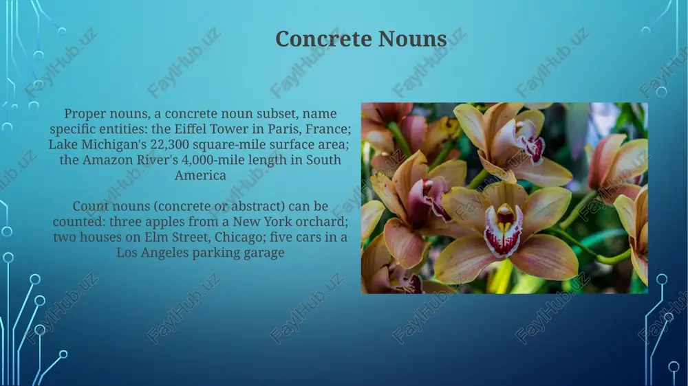types of nouns - Page 5