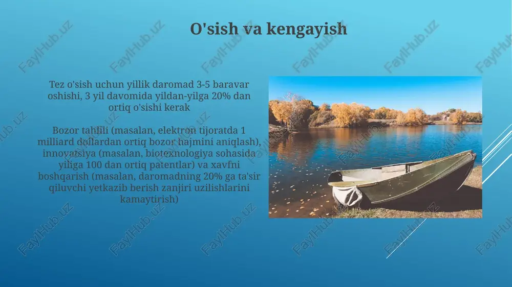 bozor tahlili va imkoniyatlar baholash - Page 5