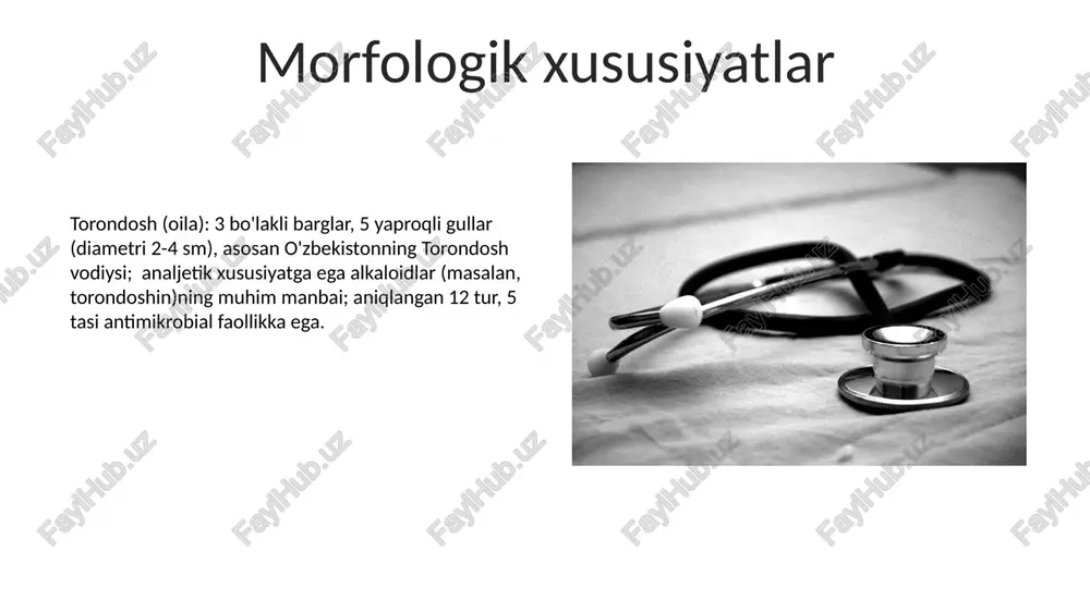 torondoshlar, gultojixo'rozdoshlar biologiyasi - Page 5