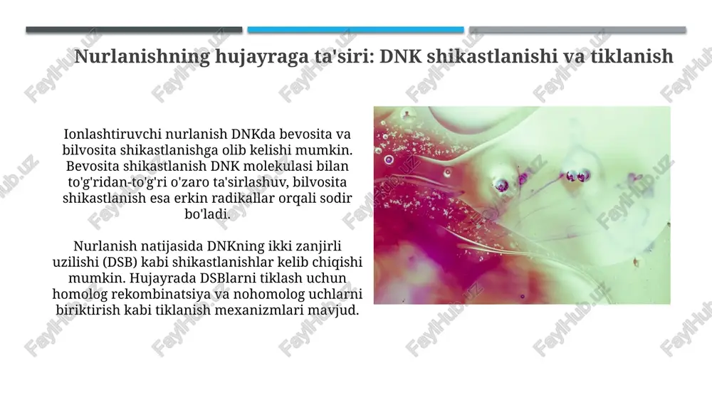 hujayraning hayot sikli va uning turlari fazalari - Page 5