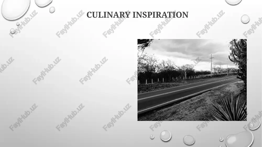 culinary creation - Page 5