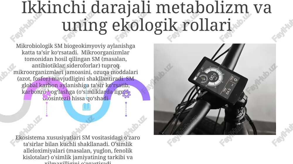 biosintez biogeotsenoz va ekotizimlarning tizmlari va xususiyatlari - Page 5