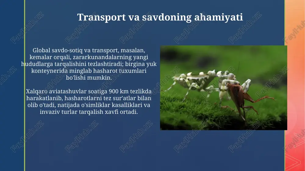 antropogen omillarning hashoratlar tarqalishidagi o'rni - Page 5