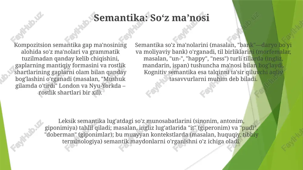 lisoniy shakl va lisoniy ma'no - Page 5