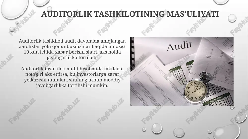 auditorlik tashkilotining huquq va majburiyatlari - Page 5
