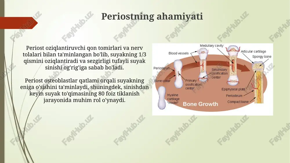 bolalardagi suyak tizimi - Page 5