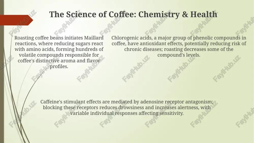 from bean to cup: a journey through coffee - Page 5