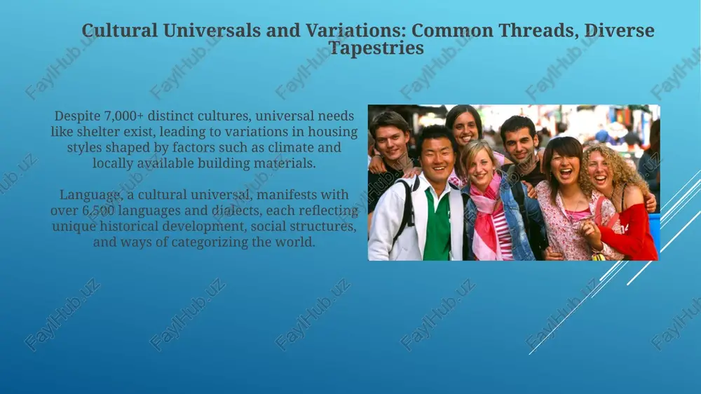 understanding culture: foundations and frameworks - Page 5