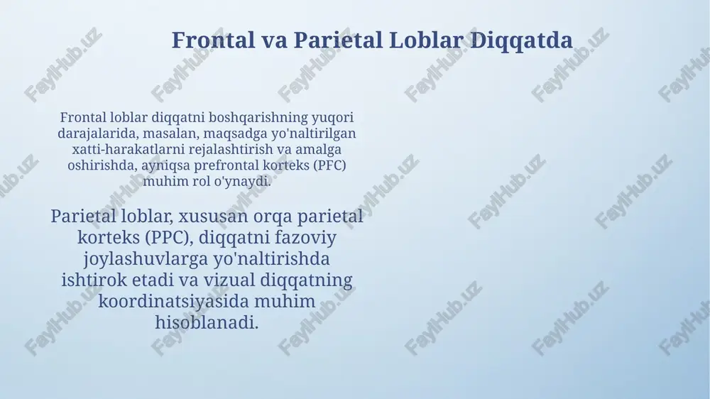 diqqatning neyrofiziologik asoslari - Page 5