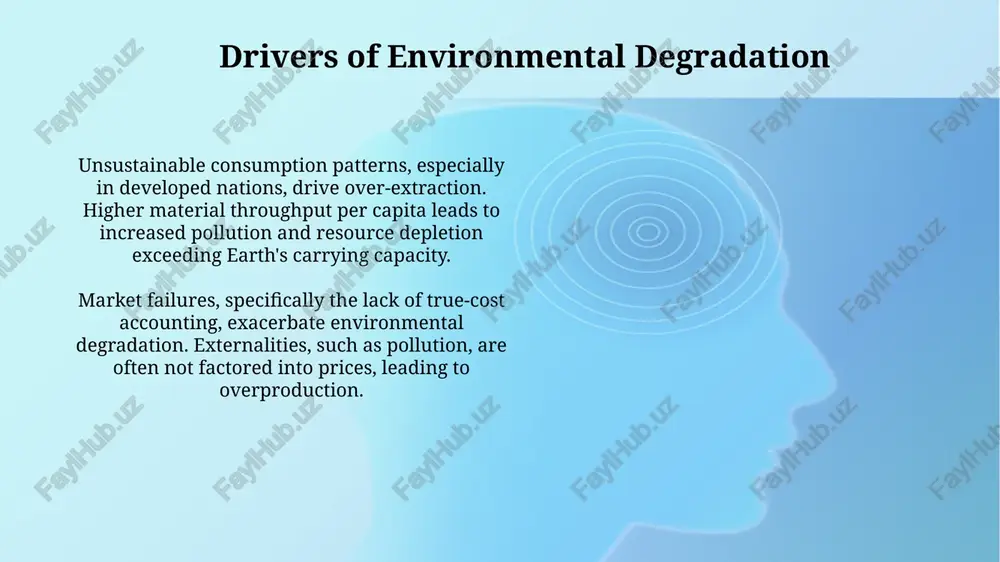global ecological challenges - Page 5