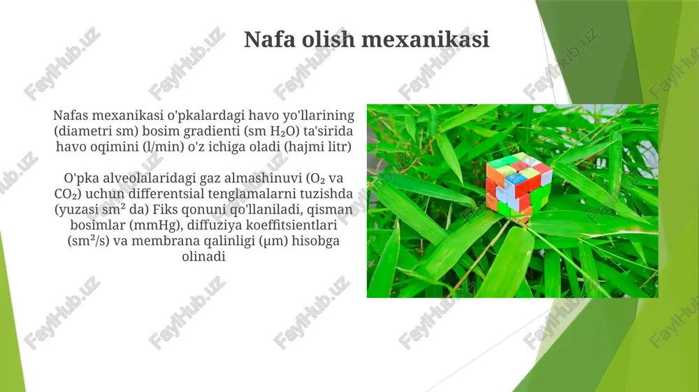 tibbiy-biologik differensial tenglamalar - Page 5