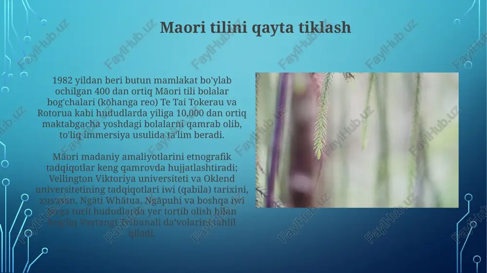 aotearoa'dagi etnografik tadqiqot usullari - Page 5