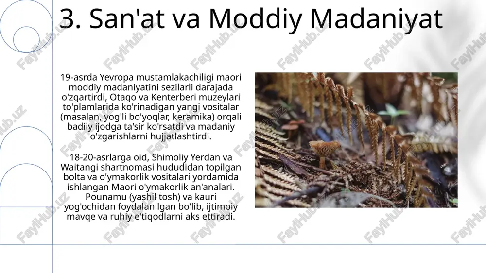 yani zelandiya xalqi etnologiyasi - Page 5