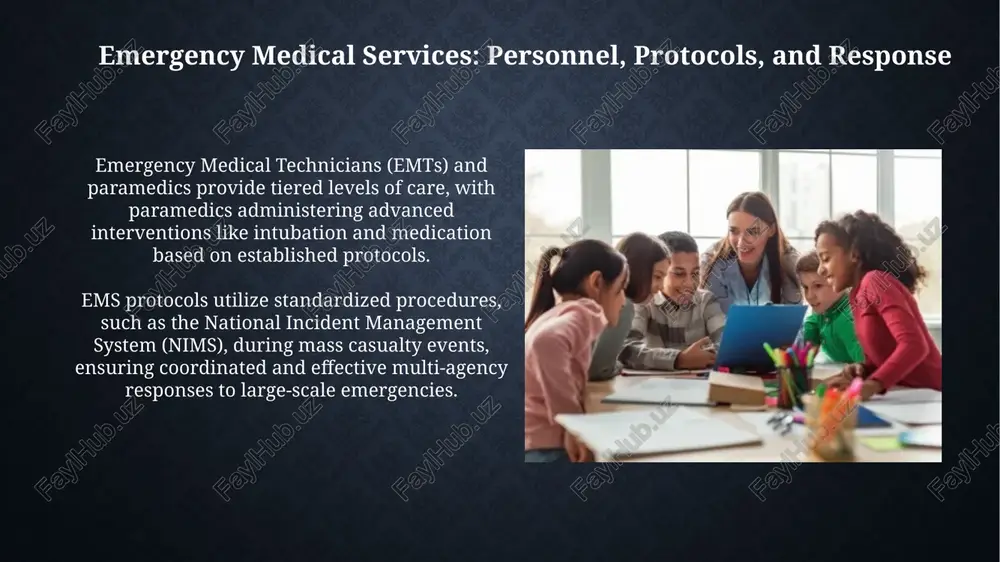 healthcare heroes: roles and responsibilities - Page 5