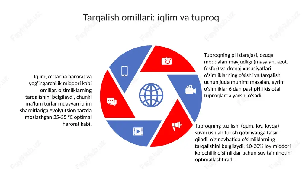 o'simliklar guruhlari va sistematikasi - Page 5