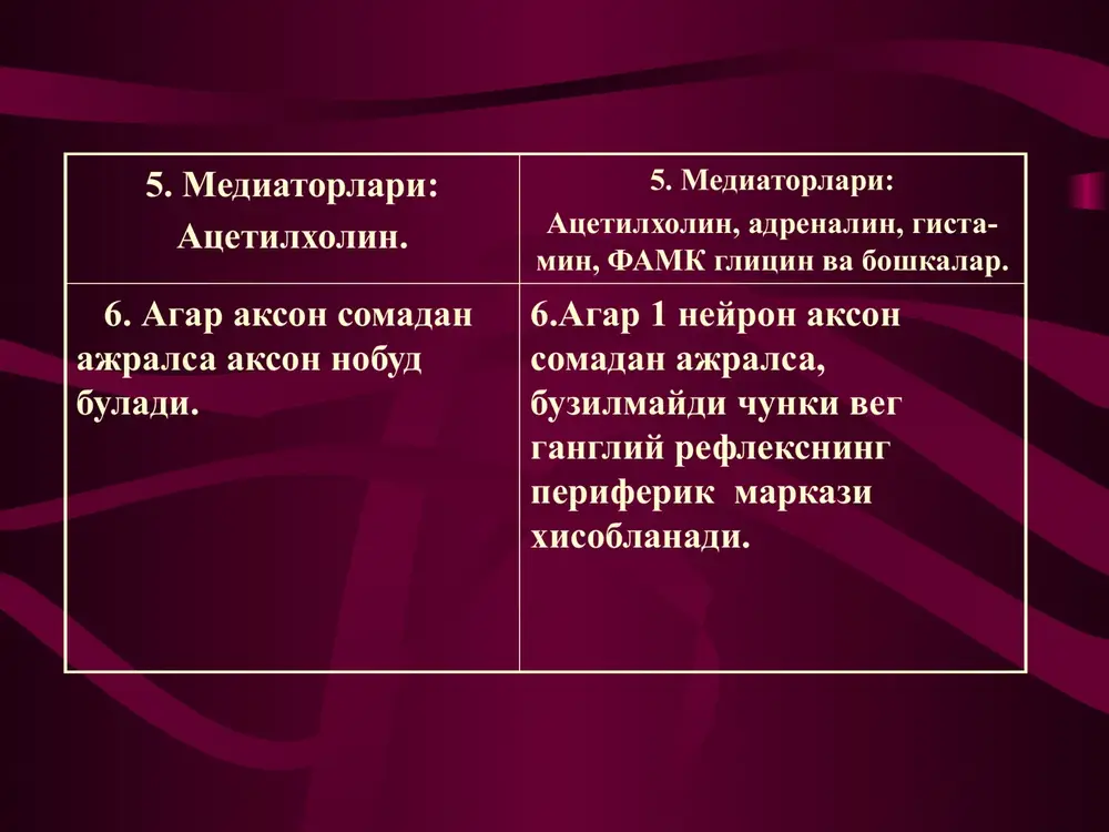vegetativnervtizimi - Page 5
