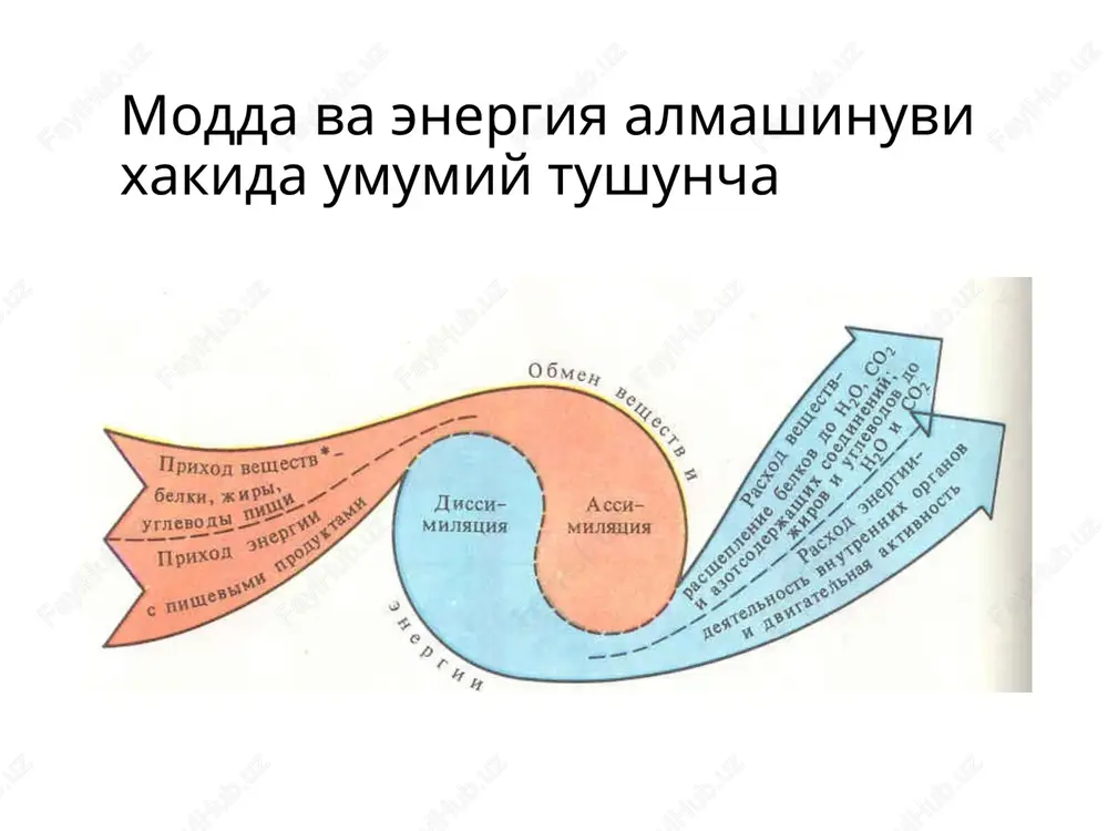 moddalar va energiya almashinuvi - Page 5