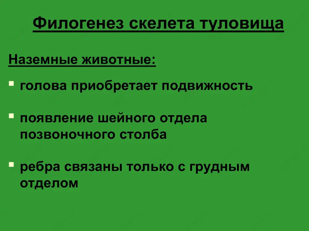 ka: grudnie pozvonki rebra (ot golovok do uglov) bokovie stenki: tela reber grudnaya kletka (thorax) verxnyaya apertura grudnoy kletki: speredi – verxniy kray rukoyatki s bokov – pervie rebra szadi – telom i grudnogo pozvonka grudnaya kletka (thorax) nijnyaya apertura grudnoy kletki: speredi – mechevidniy otrostok i rebernaya duga s bokov – svobodnie kontsi xi i xii reber i nijnie kraya xii reber szadi – telo xii grudnogo pozvonka soedineniya svobodnix pozvonkov 1. korotkie soedineniya 1.1. tel (mejpozvonochniy disk) 1.2. dug (jeltaya svyazka) 1.3. otrostkov 1.3.1. ostistix (mejostistie svyazki) 1.3.2. poperechnix (mejpoperechnie svyazki) 1.3.3. sustavnix (mejpozvonochnie sustavi) 2. dlinnie soedineniya 2.1. perednyaya prodolnaya svyazka 2.2. zadnyaya prodolnaya svyazka 2.3. nadostistaya svyazka 2.4. viynaya svyazka soedineniya kresttsa i kopchika 1. kresttsovo-kopchikoviy simfiz (= mejpozvonochniy disk) 2. kresttsovo-kopchikoviy sindesmoz (= mejpozvonochniy sustav) 3. lateralnaya kresttsovo-kopchikovaya svyazka (= mejpoperechnaya svyazka) 4. ventralnaya kresttsovo-kopchikovaya svyazka (= perednyaya prodolnaya svyazka) 5. poverxnostnaya dorsalnaya kresttsovo-kopchikovaya svyazka …