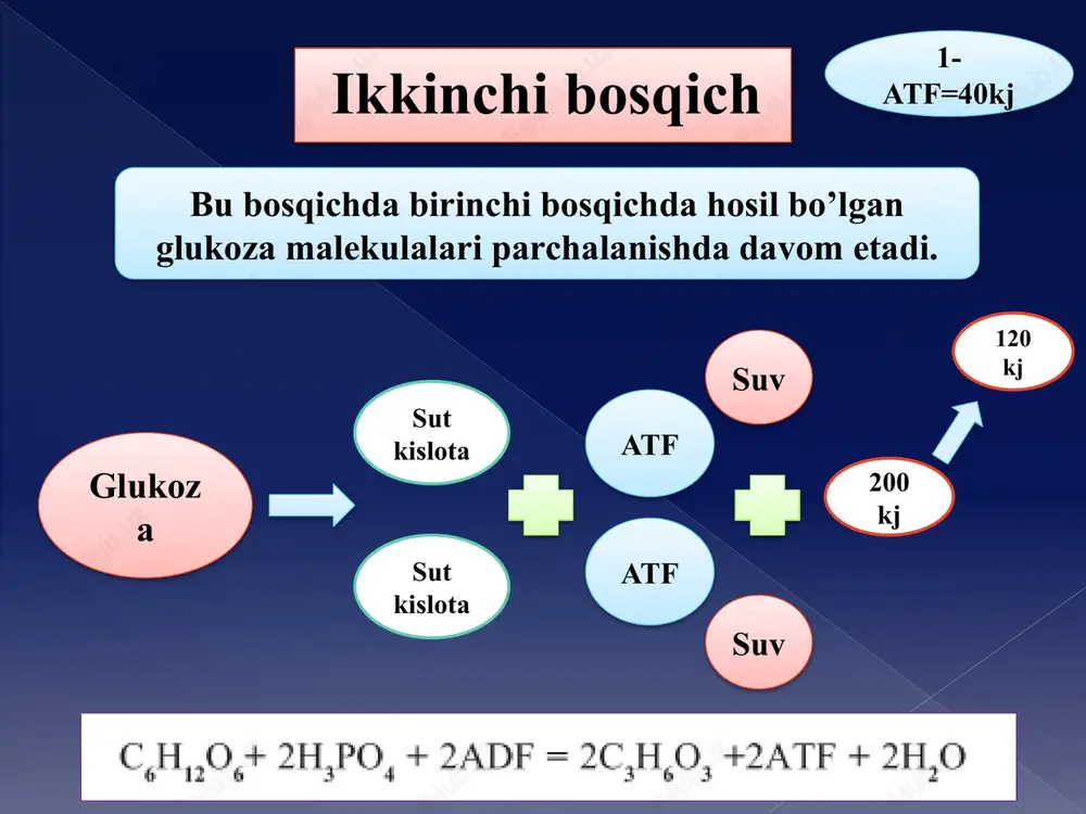 energiya almashinuvi gadoir masala echish metodikasi - Page 5