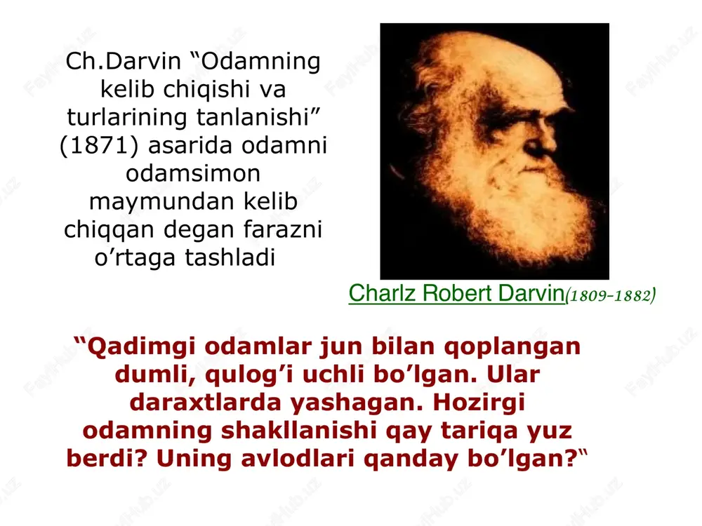 . ramapiteklar qaysi davrda yashagan. • 3. avstrolopitek so’zining lug’aviy ma’nosi va yashagan davri. • 4. pitekantroplar qaysi davrda yashagan va qoldiqlari qayerdan topilgan. • 5. homo erektusga qaysi odamlar kiradi. antropogenez fanining ilmiy muammolari 1. antropogenez jarayonida teshiktosh- neandertal odamining tutgan o’rni. 2. seleng’ur odami-fergantrop (farg’ona odami)ning biologik xususiyatlari. 3. obirahmat odamining o’rta osiyodagi antropogen jarayonlari o’rni. 4. antropogenez jarayonlarida tabiiy shart- sharoitlarning o’rni. adabiyotlar va elektron ta`lim resurslari ro`yhati 1. karimov i.a.’yuksak manaviyat yengilmas kuch” t., 2008. 2. karimov i.a. tarixiy xotirasiz kelajak yo’q. t., sharq, 1998. 3. pershiz l.m. istoriya pervobitnogo obshestvo. m., 1983. 4. kabirov j., sagdullaev a. o’rta osiyo arxeologiyasi. t., o’qituvchi, 1979. 5. arxeologlar hikoya qiladi. t., fan, 1975. 6. annaev t., shaydullayev sh. surxondaryo tarixidan lavxalar. t., abdulla qodiriy nomidagi xalq merosiy nashriyoti. 1997. 7. arxeologiya. t., o’zbekiston milliy universiteti. 2002. 8. mongayt t.i. istoriya pervobitnogo obshestvo m.-l., 2001 9. alekseyev v.p. antropologiya. …