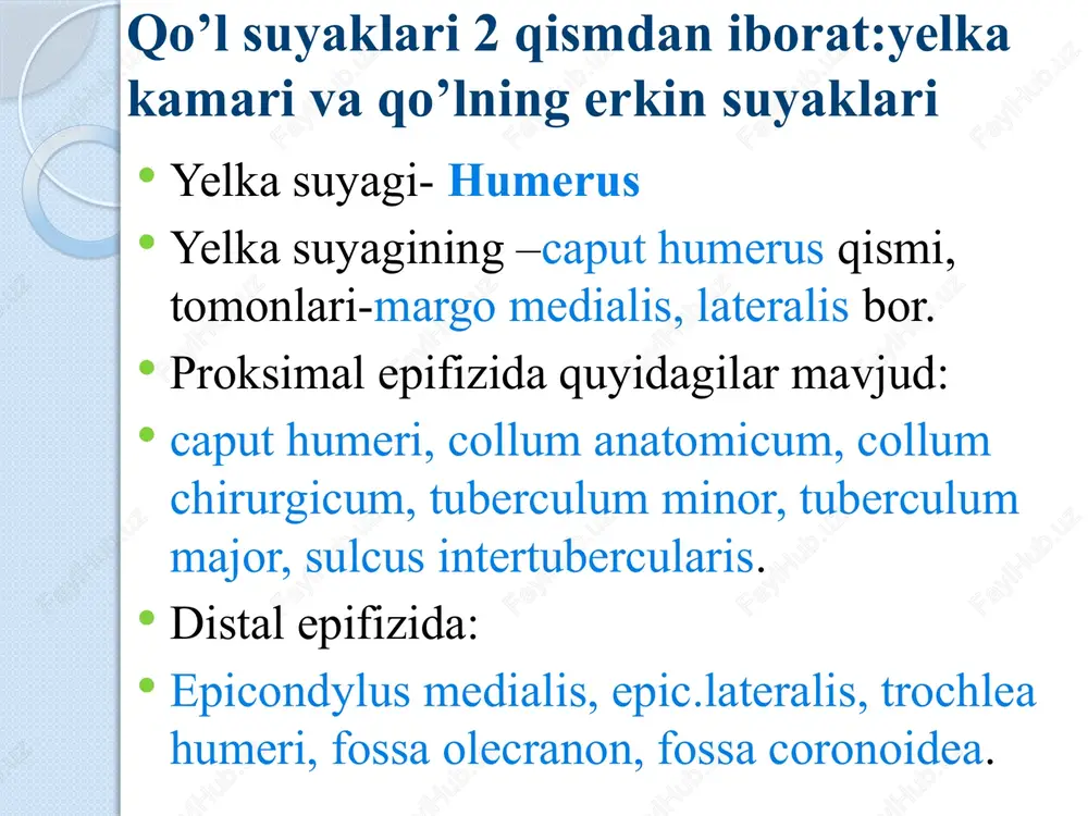 qo’l, oyoq va chanoq suyaklarining funksional anatomiyasi - Page 5