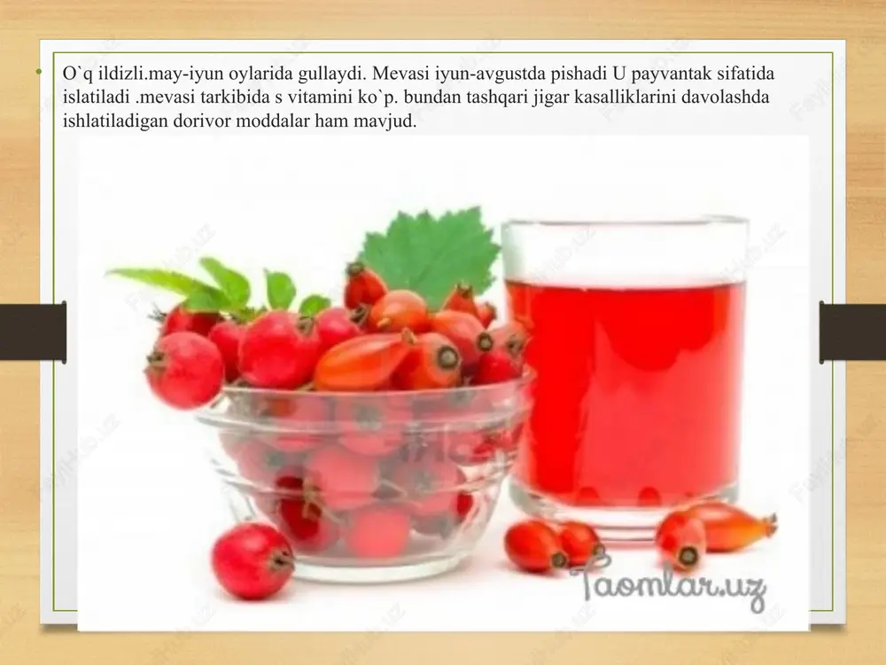 lik oilalardan farq qiladi. ra’nodoshlar oilasiga ko’plab mevali daraxtlar, manzarali butalar va gullar kiradi. o’zbekiston hududida ham ra’nodoshlar oilasi juda keng tarqalgan bo’lib, uning mevalari xalqimiz tomonidan sevib istye’mol qilinadi. ra’nodoshlar oilasi vakillarining ko’pchiligidan turli-tuman maqsadlarda foydalaniladi. masalan olma, o’rik, nok va shu kabi turli mevalardan oziq-ovqat sifatida, danakli mevalarining mag’zidan turli xil moylar olishda va tabobatda keng qo’llaniladi. e’tiboringiz uchun raxmat!!! image7.jpeg image8.jpeg image9.jpeg image10.jpeg image11.jpeg image12.jpeg image13.jpeg image14.jpeg image15.jpeg image16.jpeg image17.jpeg image18.jpeg image19.jpeg image20.jpeg image21.jpeg image22.jpeg image23.jpeg image24.jpeg image25.jpeg image26.jpeg image27.jpeg image28.jpeg image29.jpeg image30.jpeg image31.jpeg image32.jpeg image33.jpeg image34.jpeg image35.jpeg image3.png image4.png /docprops/thumbnail.jpeg