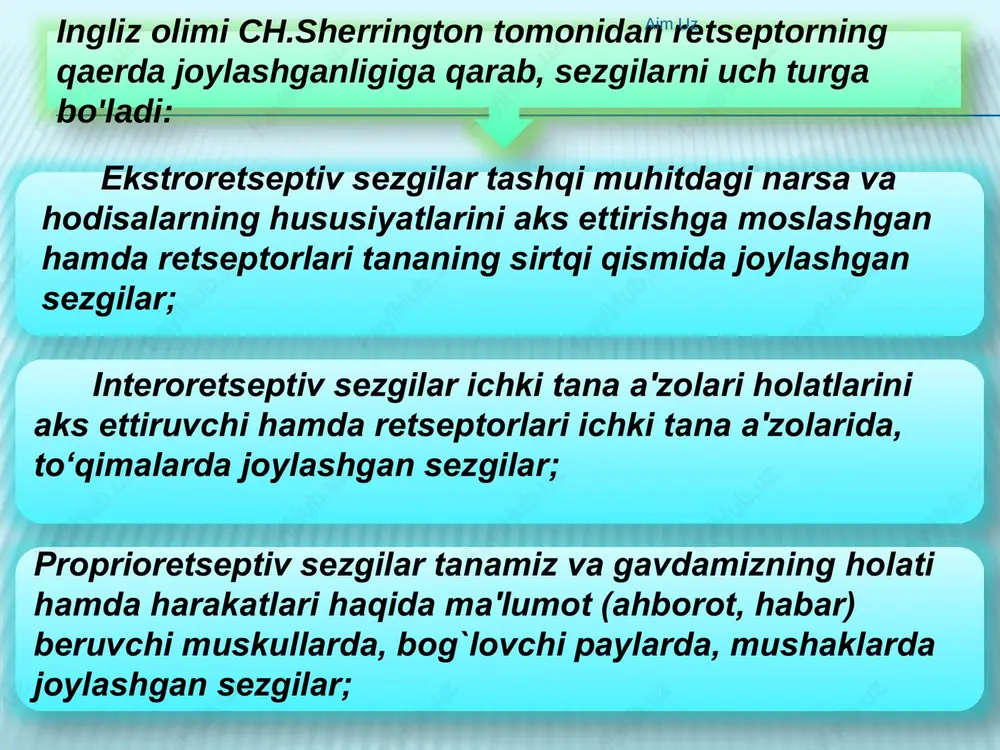 k sezgilarga quyidagilar kiradi: og`riq sezgilari; chanqoq sezgilari; nohush tuyg`ular; ochlikni sezish. aim.uz sezgilarning hususiyatlari quyidagilardan iborat: sifat – mazkur sezgining asosiy hususiyati bo'lib, uni boshqa sezgi turlaridan farqlaydi va ayni shu sezgi turi doirasida o'zgarib turadi. sezgining jadalligi uning miqdorini ifoda etadigan hususiyat bo'lib, ta'sir kelayotgan qo`zg`atuvchining kuchi va reteptorning funksional holati bilan belgilanadi. sezgining davomiyligi uning vaqtinchalik hususiyati hisoblanadi. bilinar – bilinmas sezgi hosil qiluvchi qo`zg`tuvchining minimal kuchi sezgirlikning quyi chegarasi deyiladi. aim.uz sezgi chegarasining me'yori ?anchalik kichik bo'lsa, mazkur analizatorning sezgirligi shunchalik yuksak bo'ladi. formulasi e=— 1 p1 e – sezgirlik r-qo'zg’atuvchining ta'sir me'yori. sezgining mutlaqo yuqori sezuvchanligi deb qo'zg’atuvchining kuch bilan ta'sir qilishiga aytiladi. sezgilar o'rtasidagi bilanar–bilinmas farqni hosil qiluvchi ikkita qo'zg’atuvchi o'rtasida mavjud bo'lgan minimal farq ajratish chegarasi yoki ayirma chegarasi deb ataladi. aim.uz farqlanishning aksariyat analizatorlari uchun doimiy bo'lgan nisbiy o'lchash bilan belgilanadi. ko'rish analizatori uchun bu nisbat tahminan eshitish analizatori uchun bu nisbat …