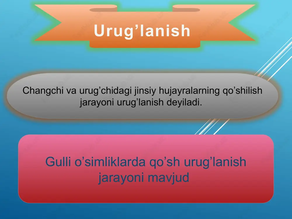gullarning changlanishi - Page 5