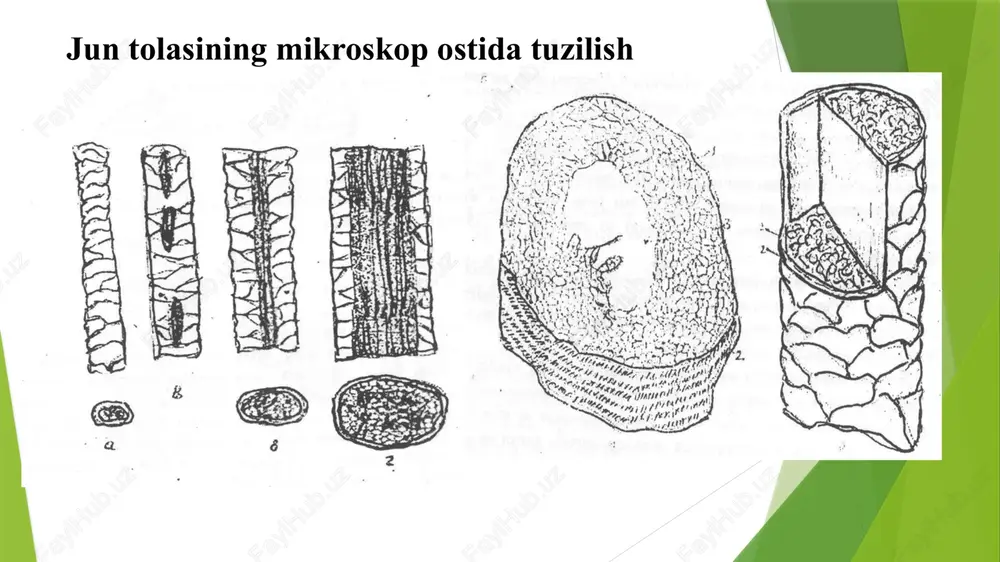il qiladi. yarim jun gazlamalar guruhiga yana «ko‘ylakbop» va «ko‘ylakkostumlik» nomli qator gazlamalar kiradi. yarim jun ko‘ylaklik gazlamalarda junning miqdori 18-80 foiz, lavsan tolasining miqdori 20-50 foiz bo‘ladi. 50 foiz nitron tolasini qo‘shib to‘qilgan gazlamalar ham ishlab chiqariladi. bu gazlamalar har xil guldor, yorqin va mayin ranglarga bo‘yalgan, polotno va mayda gulli o‘rilishda to‘qiladi. kostumlik gazlamalarning barchasida tanda iplariga, ba'zilarida arqoq turkumiga ham 15,7teks -31,3 teks yo‘g‘onlikda pishitilgan iplar qo‘llaniladi. yarim junli gazlamalarni ishlab chiqarganda jun iplariga 35 foiz viskoza yoki kapron kompleks iplari pishitilib qo‘shiladi. yuza zichligi 220-340 g/m , chiziqli to‘ldirilishi 70-90 foiz va ba'zi yuqori sifatlilari 110 foizgacha bo‘ladi. pardozlanishiga ko‘ra kamvol kostumlik gazlamalar sidirg‘a rangli va turli rangdagi iplardan to‘qilgan (chipor) turlarida bo‘ladi. sidirg‘a rangli gazlamalarning assortimenti uncha katta emas. sof junli sidirg‘a rangli gazlamalar jumlasiga boston va kreplarni kiritish mumkin. bu yuqori sifatli va asl gazlamalar. boston hosila sarja o‘rilishda yo‘g‘onligi 31,2 teks bo‘lgan pishitilgan …