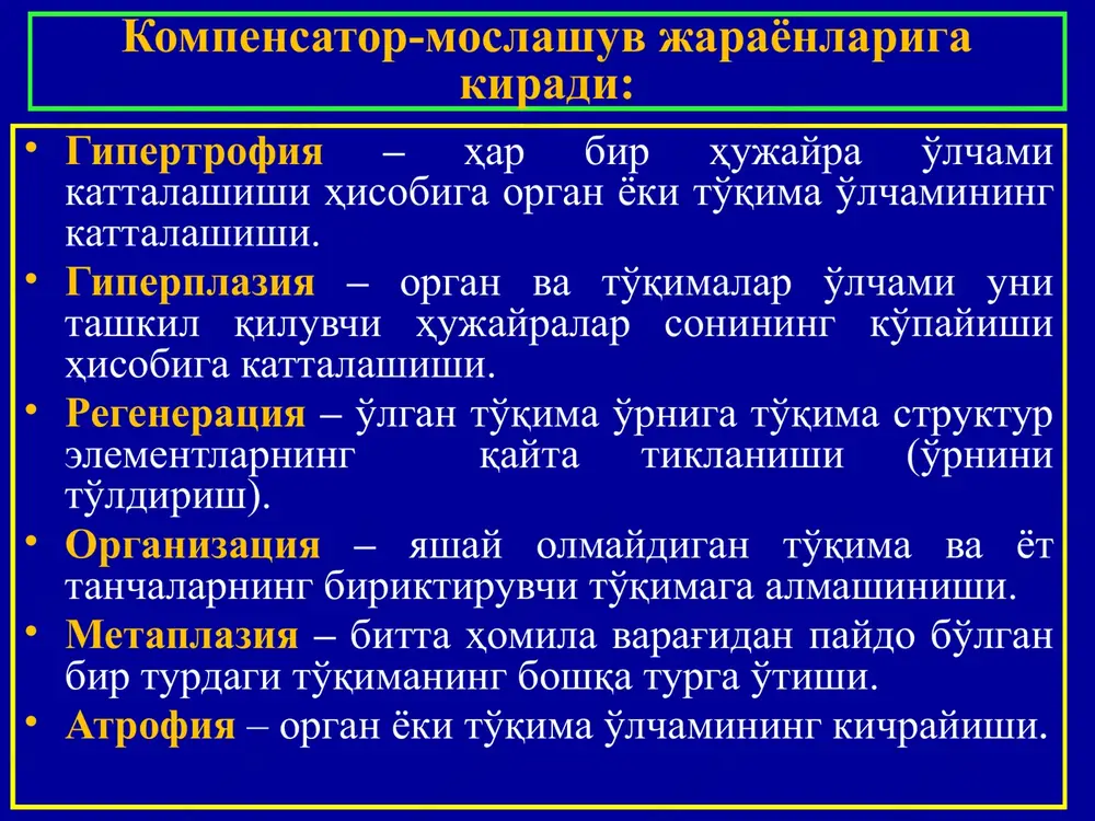 i boldir surunkali trofik yarasi). image1.jpg image2.jpg image3.jpg image4.jpg image5.jpg image6.png