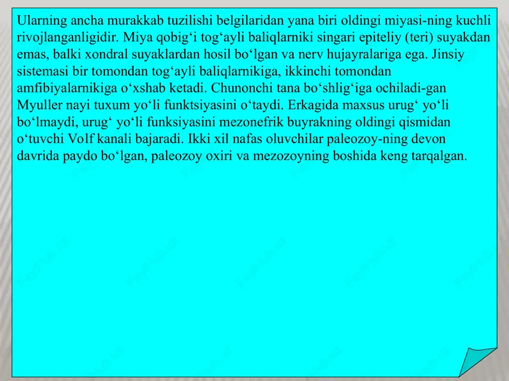 huqurliklarda+10…+14oc haroratda yashaydi, yorug‘likdan qochadi. latimeriya yirtqich baliq, og‘zida o‘tkir tishlari bor, uznligi 125-180 sm, og‘irligi 25kg dan 95 kg gacha yetadi. 1998 yilda indoneziyadagi sulavesi orolida latimeriyaning yana bir turi, ya’ni latimeria menadoensis topilgan. latimeriyalarning biologik xususiyatlari yaxshi o‘rganilmagan. 1972 yilda fransuz olimlari tomonidan tutilgan 168 sm li urg‘ochi baliq tuxumdonida 19 ta to‘q-qizg‘ish rangli, diametri 8,5-9 sm li va og‘irligi 300-334 g keladigan, usti yupqa qobiq bilan qoplangan yetuk tuxumlarni topiladi. ushbu ma’lumotlarga asoslanib, olimlar bu baliqni tuxum qo‘yuvchlar deb hisoblashadi. lekin, 1975 yilda yuqoridagi kattalikdagi urg‘ochi latimeriyani yorib ko‘rilganda uning o‘ng tuxum yo‘lida 5 ta to‘laqonli rivojlangan va uzunligi 30-35 sm li baliqchalar borligi aniqlandi. yuqoridagi fkrlardan kelib chiqib, ixtiolog olimlar latimeriyalarni tuxum qo‘yuvchlar emas balki tuxumdan tirik tug‘uvchi baliqlar ekanligini aniqlashdi. latimeriyalar tuxumi tuxumdonda taxminan bir yil davomida rivojlanadi. panjaqanotlilarning umurtqalari yaxshi rivojlanmagan, xordasi umr bo‘yi saqlanadi, bosh skeletining ko‘p qismi tog‘aydan iborat. tana bo‘shlig‘ida yog‘ …