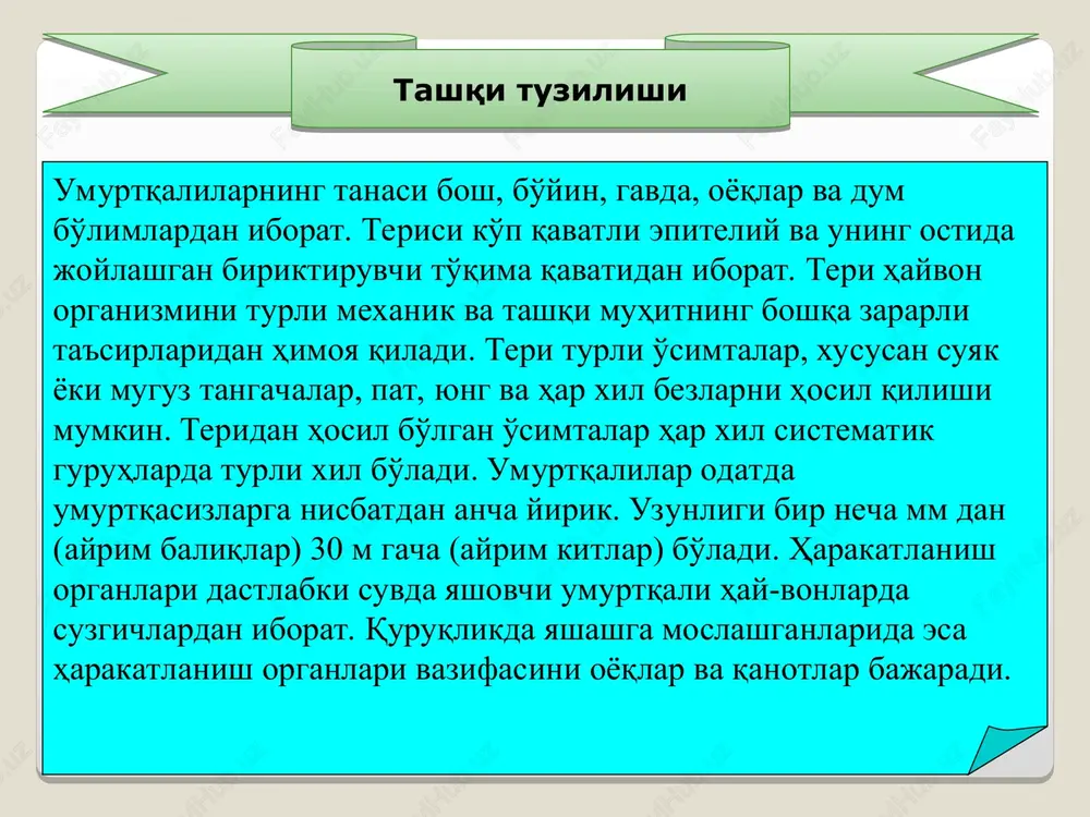 oval xaltacha va pastki qism yoki to'garak xaltachaga bo'linadi. oval xaltachadan yarim doira kanallar chiqadi va bular yoy hosil qilib yana oval xaltachaga kelib qo'shiladi. yarim doira kanallar, to'garak og'izlilarni hisobga olmaganda, barcha umurtqalilarda uchta bo'ladi. to'garak xaltachadan yuqoriga qarab uchi berk tor – endolimfatik kanal chiqadi. yon tomonida ichi kovak o'simta – chig'anoq hosil bo'ladi. pardasimon labirintning ichi – endolimfa suyuqligi bilan to'lgan bo'ladi va bu suyuqlik qalqib yuradi. gavda holatining har qanday o'zgarishi, shuningdek, tovush suyuqlikda bir talay kaltsiy karbonat kristallari to'lqinlari shu kristallarni harakatga keltiradi, eshitish organi umurtqali hayvonlarda bir juft ko'z soqqasi bor. ko'rish organining kapsulasi – sklera uning tashqi devorini tashkil etadi. sklera pishiq biriktiruvchi to'qimadan tuzilgan bo'lib, ko'z skeleti hisoblanadi. ko'zning tashqariga bo'rtib chiqib turgan oldingi qismida sklera tiniq shox pardaga aylanadi. ko'z soqqasining ichiga yumaloq tiniq jism – ko'z gavhari o'rnashgan. skleraning ichki tomoni uchta parda, ya'ni tomirli parda, pigmentli parda va to'r …