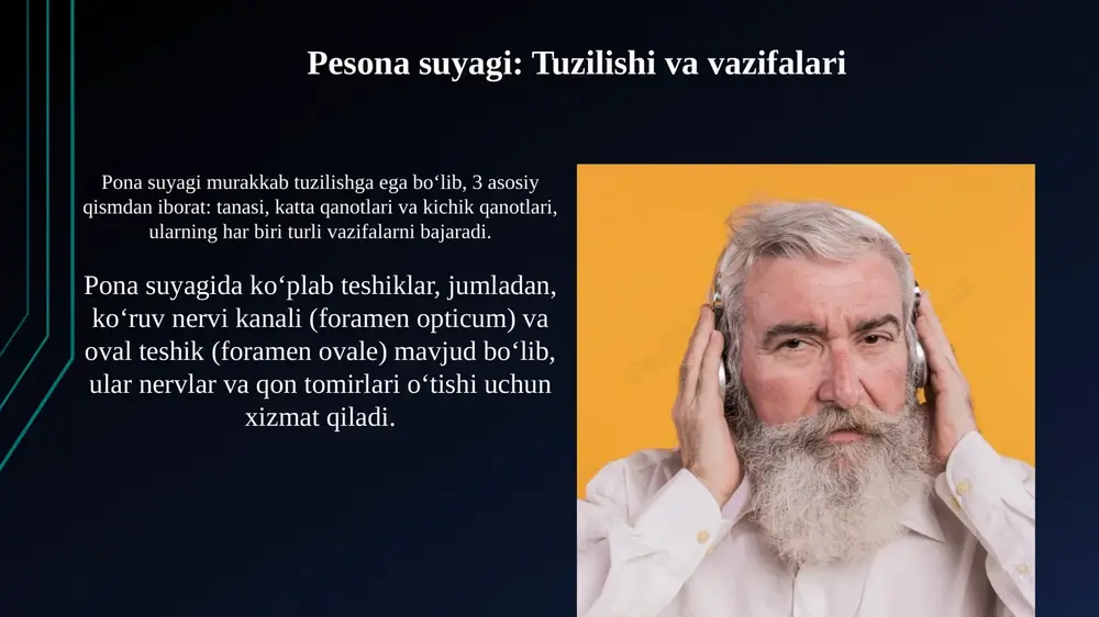 peshana, tepa, g'alvirsimon suyaklar va ularning yoshga doir xususiyatlari - Page 5