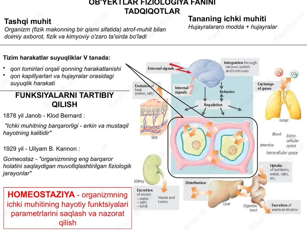 ga xoslik passiv tashishga misollar - gazlarning tarqalishi nafas olayotganda, steroid gormonlar, anestetiklar elektrolitlar bo'lmagan yoki doimiy elektr maydoni bo'lsa fik qonuni diffuziya koeffitsienti osonlashtirilgan diffuziya integral oqsillar ( porlar, tashuvchilar, kanallar ) talab qilinadi energiya xarajatlarisiz ( !!! ) yuqori o'ziga xoslik (selektivlik) ( tashuvchilar va kanallar uchun ) to'yinganlik (tashuvchilar uchun) poralar suv bilan to'ldirilgan teshik kanali har doim ochiq (istisnolar mavjud) porinlar - kanallar mitoxondriyaning tashqi membranasida (molekulyar og'irligi 5 kda gacha bo'lgan moddalar), xloroplastlar va bakteriyalarda joylashgan aquaporinlar (aqp) - suv uchun membrana teshiklari oilasi ( >10 dona). perforinlar sitotoksik t-limfotsitlar va nk hujayralari granulalarining oqsillari bo'lib , maqsadli hujayralarda diametri taxminan 10 nm bo'lgan transmembran kanallarini hosil qiladi. yadroviy gözenekler - nukleoporinlar komplekslari (taxminan 30), diametri 80-150 nm, g'ovak kanali va yadro g'ovak majmuasini o'z ichiga oladi. yadro va sitoplazma o'rtasida suv, ionlarning tarqalishi va ko'plab makromolekulalarning (jumladan, rnk molekulalarining) tashilishi. konneksonlar - 6 ta …