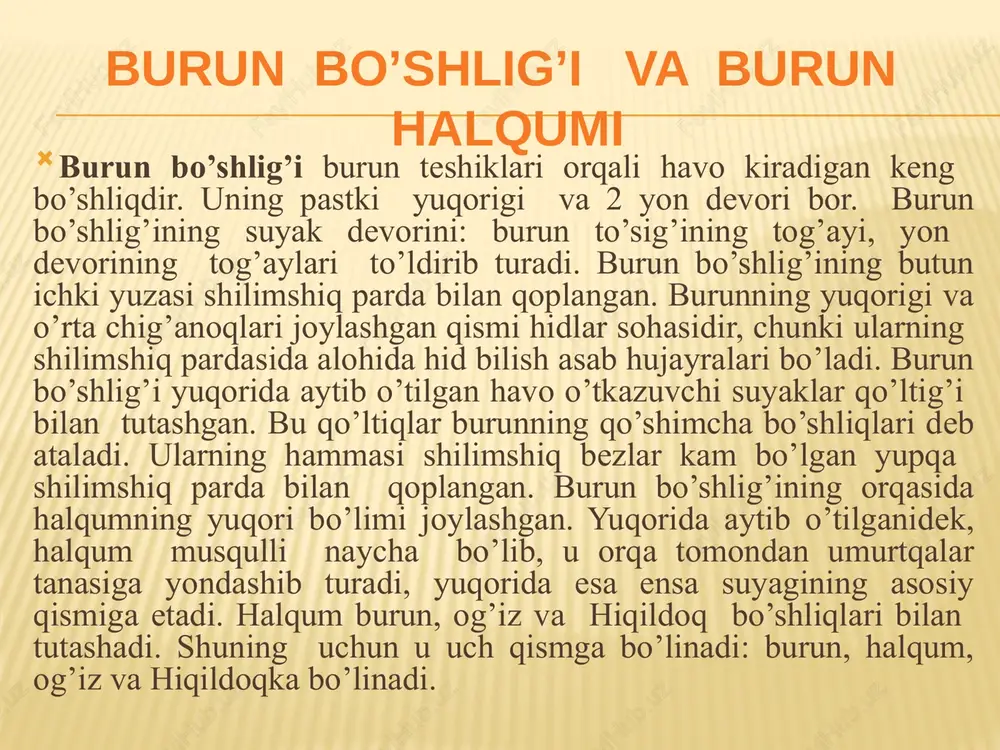 ’rtiqlar o’pka pufakchalari, ya'ni alveolalar bo’lgan alveola yo’llar hosil qiladi.. o’pkalar /pulmo/. o’pkalar odamda chap va o’ng tomonda joylashgan ikkita o’pka bo’ladi. bu ko’krak qafasi bo’shlig’ining o’rta qismidan tashqari deyarli hammasini ishg’ol qilib turuvchi keng hajimli a'zolardir. har bir o’pkaning diafragmaga yondoshib turadigan pastki keng qismi asosi deb ataladi. o’pkaning asosida diafragma gumbaziga mos keladigan chuqurcha bor. uning toraygan va joylashgan ustki qismi o’pkaning uchi ko’krak qafasining oldingi tomonida bir -qovurg’a tog’ayining tush suyagi bilan birikadigan joyidan 3 sm yuqorida joylashadi,orqa tomonda uning joylashgan sathi 1 -qovurg’a buyniga to’g’ri keladi. o`pkaning qon tomirlari o’pka oralik yuzasining markaziy qismida uning qopqasi joylashgan.har bir o’pkaning qopqasiga birlamchi bronx, o’pkaga venoz qon olib keluvchi ancha katta bo’lmagan bronxial arteriya kiradi. har bir o’pka qopqasidan yurakka arterial qon olib ikkita o’pka venasi chiqib ketadi. o’pkalardan limfa tomirlari ham chiqib ketadi. o’pka qopqasi orqali o’tuvchi bu hamma xosilalar o’pka ildizini hosil qiladi. nafas olish a`zolarini …