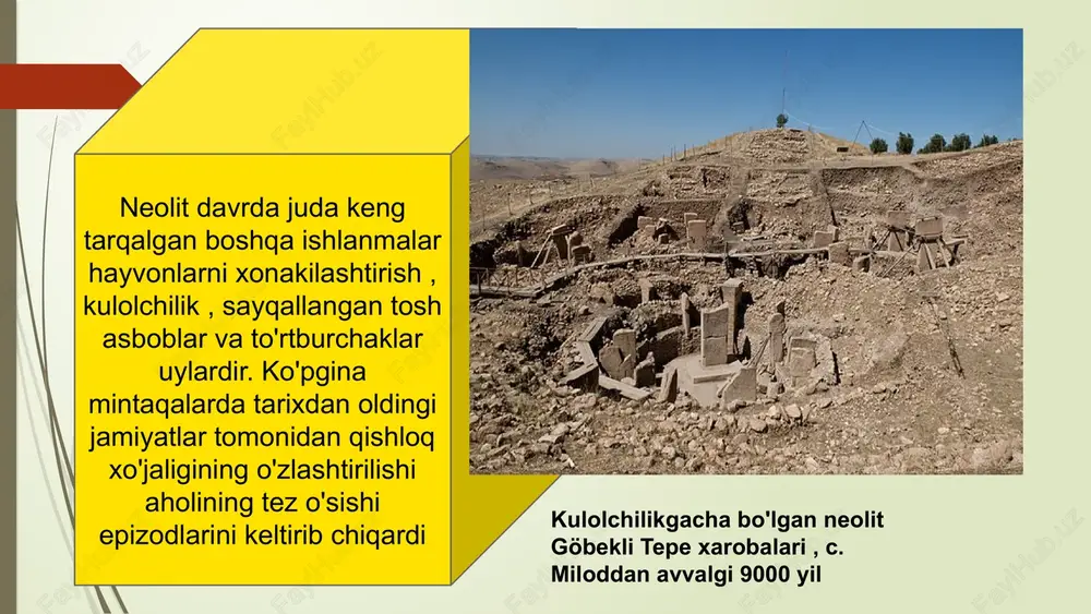 g'ishtdan yasalgan to'siqni va zardushtiylik dini bilan bog'langan olov qurbongohlari bo'lgan ibodatxonalarni topdi. gonur depening umumiy maydoni taxminan 55 gektarni tashkil qiladi va arxeologlar tomonidan uchta asosiy sektorga bo'lingan: shimoliy gonur , katta nekropol va gonur janubi . majmuaning shimoliy qismida gonur shimoliy deb ataladigan oʻlchami taxminan 100x180 m (330x590 fut) boʻlgan markaziy qalʼaga oʻxshash tuzilishga ega edi. gonurdepe jonbos iv — o'zbekistonda birinchi topilgan neolit davriga (miloddan avvalgi 4—3-ming yillik) oid kaltaminor madaniyatining eng nodir va muhim yodgorligi. yodgorlik qoraqalpogiston toʻrtko'l tumanida joylashgan. uni 1938—1940, 1945-yillarda xorazm arxeologiya-etnografiya ekspeditsiyasi tekshirgan. jonbos iv da maydoni 300 m² boʻlgan chayla qoldigʻi topilgan. chayla kattagina urugʻ jamoasining yashash joyi boʻlib xizmat qilgan va unda qariyb 100—120 nafar kishi yashagan. kuygan qamish va xoda qoldiqlariga qaraganda chayla ustunli, oval shaklida boʻlib, qamish bilan yopilgan. unda bitta katta va yigirmadan ortiq kichik oʻchoq oʻrni qayd etilgan. oʻchoqlar girdi va chayladan baliq (choʻrtan, zogʻora, laqqa), …